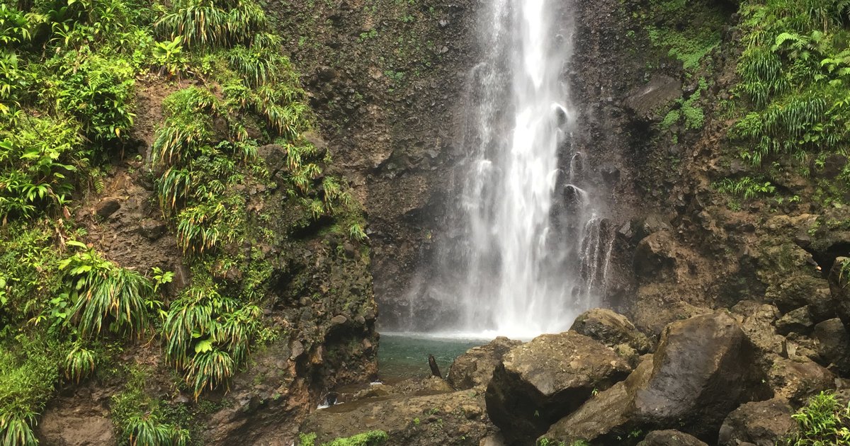 Dominica Roseau Valley Hiking Adventure
