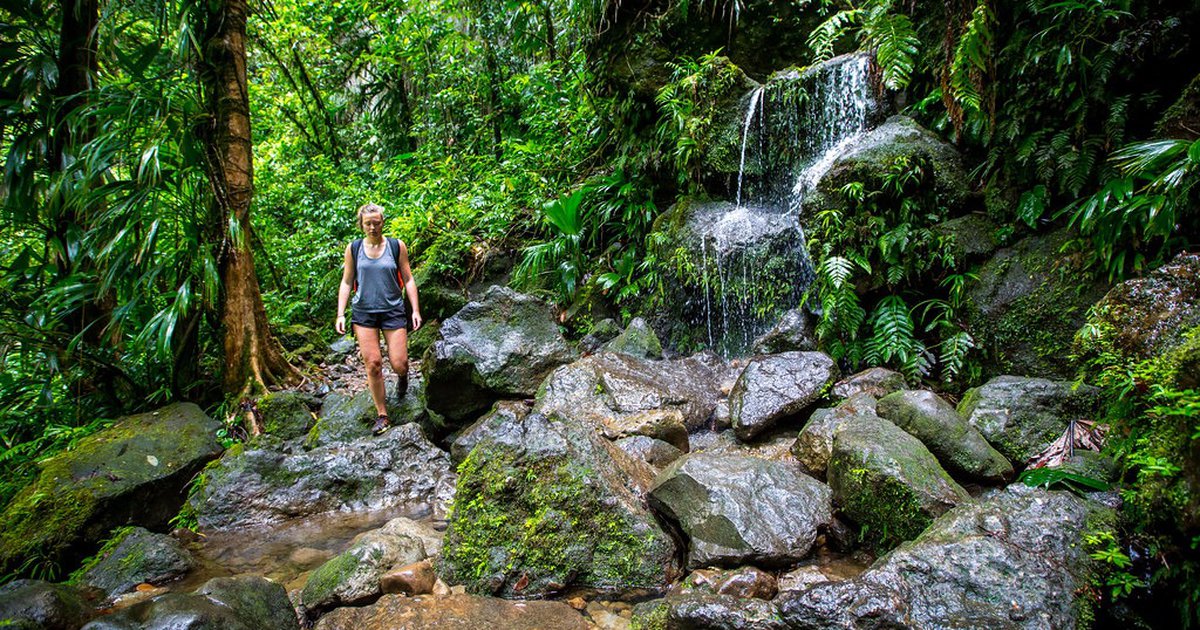 Dominica: Dominica Tours DMC