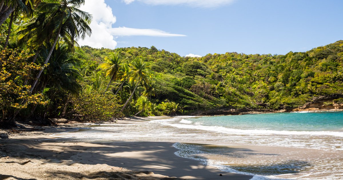 Dominica Picard Beach