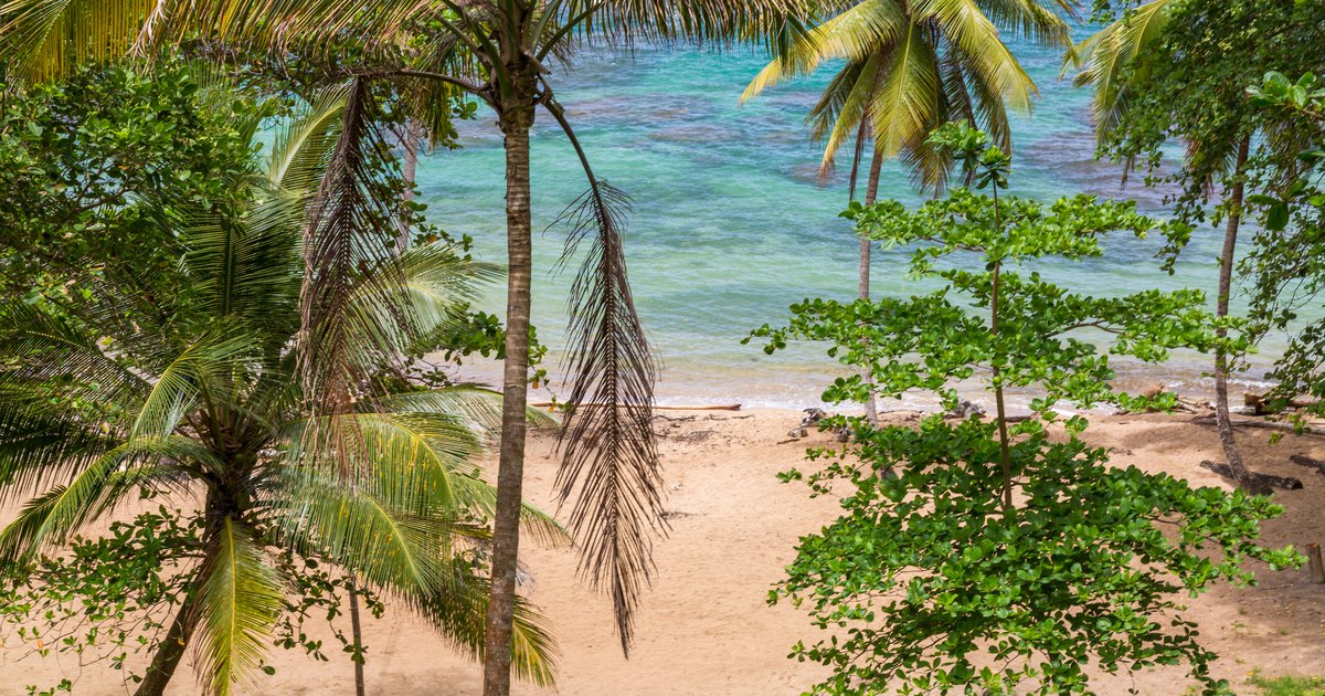 Dominica Sand Bay Marigot