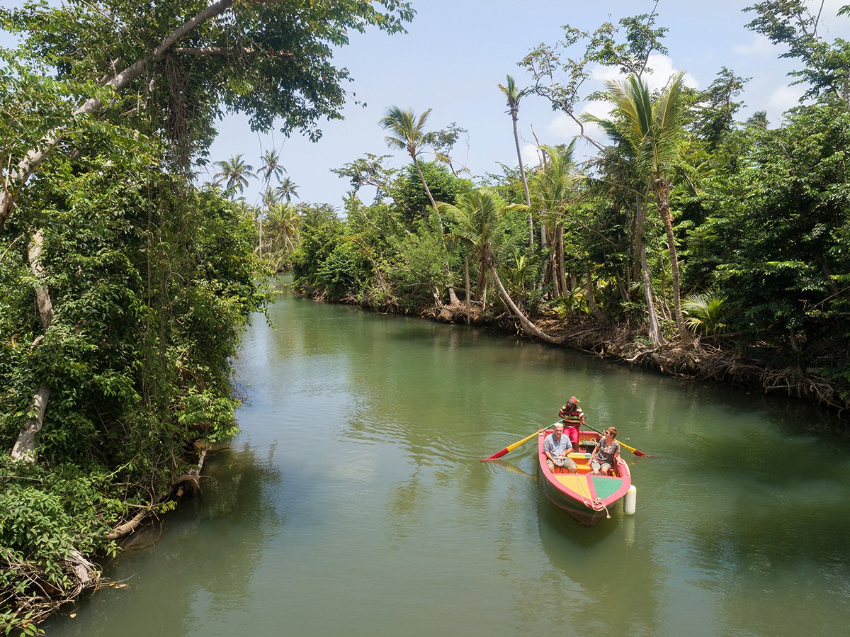 indian river tour dominica