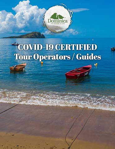 Tour _Taxi_Operators_listing